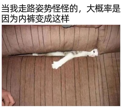 这张梗图上方配有文字“当我走路姿势怪怪的，大概率是因为内裤变成这样”，下方是一只白猫被卡在棕色条纹沙发的缝隙中，只露出头和四肢，身体被沙发垫夹住，呈现出非常尴尬的姿势。图片通过将猫咪被卡住的滑稽模样与人们穿了不舒服内裤时的尴尬处境进行类比，制造出幽默效果。