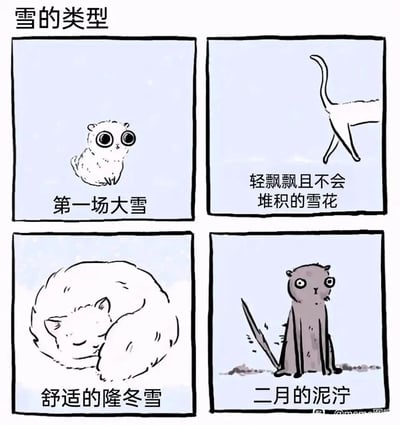 这是一幅以拟人化猫咪为核心的四格趣味漫画，用猫咪的不同状态来比喻不同阶段的雪：第一格用睁着大圆眼睛、神态好奇的小猫代表第一场大雪，精准传递出人们初见初雪时的惊喜感；第二格用仅露出下半身、轻飘飘的猫咪比喻不会堆积的雪花，体现这类雪轻盈、留不下痕迹的特点；第三格用蜷成一团、神态安详的猫咪代表舒适的隆冬雪，表现出隆冬雪柔软厚实，能给人带来温暖惬意的感觉；第四格用浑身沾满泥污、眼神呆滞的猫咪比喻二月的泥泞雪，生动展现出冬末春初雪融化后，地面变得邋遢泥泞的状态，将抽象的雪的类型具象化，充满生活趣味与共鸣感。