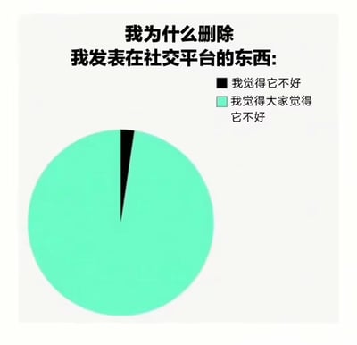 一张幽默的饼图，标题为‘我为什么删除我发表在社交平台的东西’。图中用极小的黑色色块表示‘我觉得它不好’，而占比绝大多数的浅绿色色块则代表‘我觉得大家觉得它不好’，通过夸张的比例对比，生动展现了人们在社交媒体上因过度在意他人看法而删除自己发布内容的普遍心理状态。