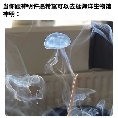 图片上方配有文字'当你跟神明许愿希望可以去逛海洋生物馆 神明：'，下方是一张实拍照片，展示了燃烧的香所产生的烟雾恰好形成了水母的形状，仿佛神明用烟雾变出了海洋生物来回应许愿。通过烟雾形态与海洋生物的巧妙相似性制造幽默效果，体现了对'神明回应'的趣味化解读。