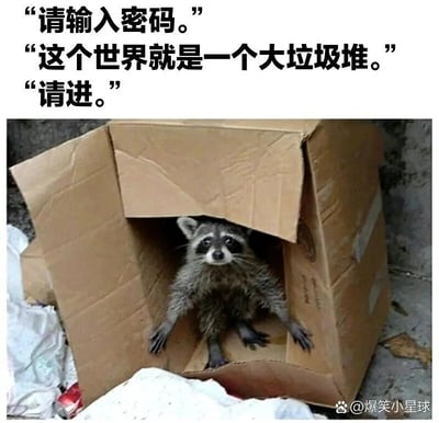 这是一张带有生活吐槽性质的搞笑梗图，画面上方设置了三段模拟门禁验证的对话：先是“守门者”提出“请输入密码”的要求，接着“访客（对应画面中的浣熊）”吐槽“这个世界就是一个大垃圾堆”，随后“守门者”回应“请进”。画面下方是一只浣熊待在破损的纸箱内部，四肢搭在纸箱边缘，眼神茫然无辜，纸箱周围散落着垃圾，完美呼应了对话里的“大垃圾堆”描述。这张梗图利用浣熊常活跃在垃圾区域的习性，搭配扎心的生活吐槽，以戏谑的方式表达了对生活的无奈与自嘲，容易引发网友的情感共鸣。