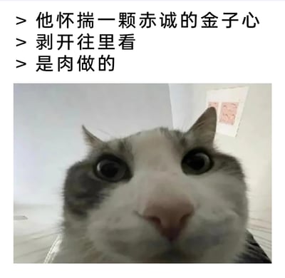 这是一张图文混排的搞笑内容图，上方配有三行文字：「他怀揣一颗赤诚的金子心，剥开往里看，是肉做的」，下方是一张近距离怼脸拍摄的猫咪特写图。猫咪眼睛圆睁，表情惊讶又滑稽，搭配文字制造出强烈的反差感——先用「赤诚金子心」营造出珍贵、特别的预期，随后转折到「是肉做的」这个普通到离谱的事实，结合猫咪的惊讶表情，放大了这种反差带来的搞笑效果，属于典型的网络搞笑段子类内容，适合在社交平台用来调侃或制造轻松氛围。
