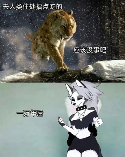 图片分为上下两部分。上半部分展现雪地森林场景，一只老虎正谨慎行走，配文“去人类住处搞点吃的”和“应该没事吧”，体现其试图接近人类获取食物的忐忑心态；下半部分为卡通风格的狼耳娘形象，背景为浅色，配文“一万年后”，通过时间跨度形成鲜明对比，暗示物种在漫长岁月中的转变或进化，整体营造出幽默调侃的效果。