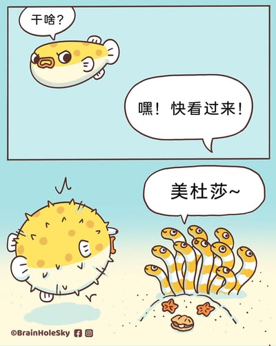 这是一幅两格的海洋主题卡通漫画，充满趣味冷梗。第一格中，一只形态正常的河豚带着疑惑的表情回应“干啥？”，同时有声音呼唤它“嘿！快看过来！”；第二格中，一群从沙堆里探出头、长着多只眼睛的鱼类喊出“美杜莎~”，河豚被这个玩梗的呼唤吓到，瞬间膨胀成浑身布满尖刺的球状，呈现出受惊紧绷的状态。漫画结合了美杜莎能将人石化的传说梗，利用河豚受惊会膨胀变硬的特性，打造出轻松好笑的动物趣味场景。