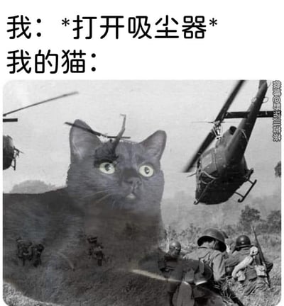 图片上方文字描述场景：'我：*打开吸尘器* 我的猫：'，下方是一张合成图像。图像中一只黑猫瞪大双眼，眼神惊恐，被叠加在黑白的战争历史照片上，背景有直升机和士兵，夸张地表现出猫咪对吸尘器声音的极度恐惧，仿佛面临军事袭击，充满搞笑效果。