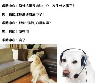 图片上方是一段搞笑对话，求助中心询问狗狗发生何事，狗狗称球掉进沙发底下，求助中心建议对沙发吼叫，狗狗表示已尝试但无效，最后求助中心无奈回应“完了”。下方左侧是一只金毛犬坐在沙发前，扭头看向沙发底部，表情焦急；右侧是一只戴着耳机的白狗，表情严肃，仿佛在接听求助电话。整体通过拟人化对话和真实狗狗图片的结合，营造出幽默诙谐的效果。