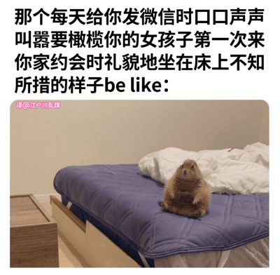 图片上方是一段描述社交反差的文字，讲述平时在微信上语气嚣张、口口声声说要“橄榄你”的女孩子，第一次来家里约会时却礼貌地坐在床上，显得不知所措的样子。下方配图是一只土拨鼠端坐在铺着紫色床单的床上，身体微微前倾，眼神呆萌，完美呼应了文字中描述的“乖巧又不知所措”的状态，通过动物的可爱形象幽默地展现了网络聊天与现实见面时的行为反差。