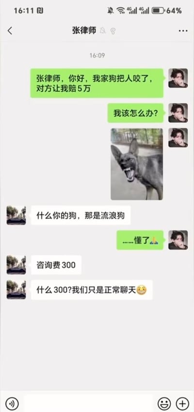 这是一段充满反转笑点的微信聊天记录截图：用户因自家狗咬伤他人被索赔5万元，向张律师求助，还附上了一张张嘴露齿、神态凶狠的狗的图片。张律师立刻给出“甩锅”式支招：“什么你的狗，那是流浪狗”，用户心领神会回复“……懂了🙏”。紧接着张律师提出要收取300元咨询费，却马上话锋一转，笑着改口“什么300?我们只是正常聊天😁”，用滑稽的反转制造出强烈的幽默感，既调侃了生活中的纠纷应对小技巧，又用律师的“不认账”行为增添了搞笑效果。