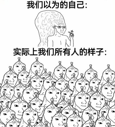 这是一张通过上下对比展现自我认知差异的幽默梗图。上方标题“我们以为的自己：”下方是一个线条画风格的人物，头部被描绘成复杂的大脑状结构，戴着眼镜，手持烟斗，表情呈现出深思熟虑的智者形象，象征人们对自己的理想化认知。下方标题“实际上我们所有人的样子：”则是由大量完全相同的、头部呈简单水滴状的 blob 形象整齐排列而成，每个形象表情单一、特征模糊，形成强烈的视觉对比，暗示在现实中大多数人其实都十分相似，带有自嘲和讽刺意味。