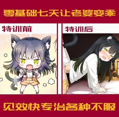 这是一张模仿速效广告形式的搞笑对比梗图，整体采用红底黄字的醒目排版，上方标注“零基础七天让老婆变乖”，下方标注“见效快专治各种不服”。画面中间分为左右两部分：左侧“特训前”是一只炸毛的猫耳娘，双手握拳、张嘴怒吼，尾巴甩动，周身带有气炸的特效，表情愤怒暴躁；右侧“特训后”是同一位猫耳娘，姿态娇羞地趴在床上，表情软萌顺从。图中用夸张的前后反差制造笑点，调侃情侣间的相处模式，同时带有低俗暗示意味，以戏谑的方式呈现“驯服暴躁伴侣”的主题。