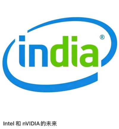 这是一张恶搞科技公司标志的梗图，将英特尔(Intel)的经典蓝色椭圆形标志进行修改，把原本的"Intel"文字替换成"india"，其中"in"保持蓝色，"dia"改为绿色。标志右上角保留了注册商标符号®。图片底部有一行中文文字："Intel 和 nVIDIA 的未来"，暗示这是对英特尔和英伟达两家公司可能合并的幽默调侃，通过将两家公司名称各取部分组合成"India"（印度）制造笑点。