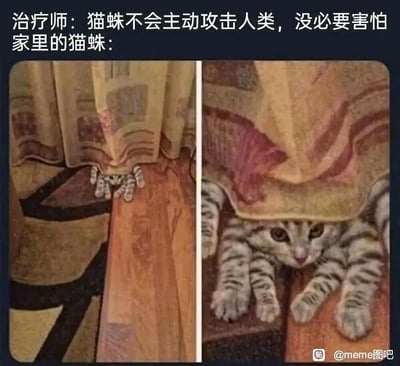 这是一张充满趣味的左右对比梗图，上方配文构建了一个反差场景：治疗师声称“猫蛛不会主动攻击人类，没必要害怕”，而“家里的猫蛛”对应的画面则是左侧图中，窗帘下方露出的虎斑猫爪子因视觉错觉，看起来像是蜘蛛的多条腿，营造出诡异的“猫蛛”假象；右侧图则是掀开窗帘后的真实场景，这只虎斑猫将多只爪子都伸了出来，刚好对应左侧的错觉画面。整张图利用猫咪的奇葩姿势制造视觉错位，结合“猫蛛”的玩笑式说法，用强烈的反差感制造搞笑效果，调侃宠物带来的乌龙趣事。