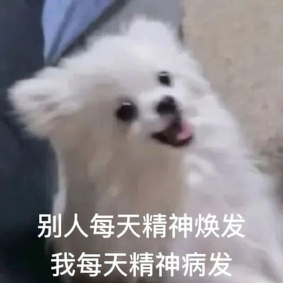 图片主体是一只白色的博美犬，毛发蓬松，眼睛圆溜溜地睁大，嘴巴微张，舌头略带粉色，表情看起来有些兴奋或晃动导致的轻微模糊。图片下方配有两行白色文字：“别人每天精神焕发 我每天精神病发”。通过“精神焕发”与“精神病发”的谐音梗制造幽默效果，对比他人充满活力的状态与自己混乱的精神状态，展现一种自嘲式的搞笑情绪。