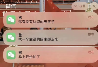 图片展示了微信聊天界面，联系人“爸”连续发送三条消息：“你有没有认识的男孩子”“找一个靠谱的回来掰玉米”“马上开始忙了”。背景中可见带有五角星的红色旗帜及部分建筑结构，营造出略带正式感的场景。核心笑点在于父亲将“找男孩子”的请求巧妙包装为“帮忙掰玉米”的实际需求，用接地气的农活场景调侃了常见的“催婚”话题，形成幽默反差。