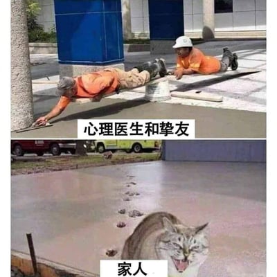 这是一张上下分栏的对比梗图，上图呈现两位施工工人趴在地面，专注地抹平刚铺设的水泥，配文“心理医生和挚友”，用来象征当你向他们倾诉情绪时，他们会耐心帮你梳理、抚平心结；下图则是一只表情愤怒的猫，踩过刚铺好的水泥留下一串凌乱脚印，配文“家人”，调侃家人在你倾诉时往往会不经意“添乱”，戳中你的情绪痛点。通过施工场景的反差，用搞笑的方式展现不同倾诉对象的应对差异，引发网友对人际关系的共鸣。