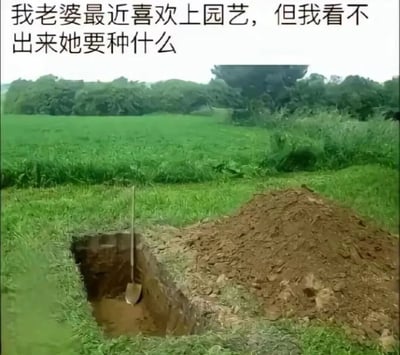 图片上方配有文字'我老婆最近喜欢上园艺，但我看不出来她要种什么'，下方是一张实拍照片：一片绿色的草地中央，有一个挖得很深的方形大洞，洞里插着一把铲子，旁边堆着高高的泥土堆。通过夸张的大洞与'园艺'的日常认知形成反差，制造出老公对老婆行为的疑惑和幽默效果，暗示老婆的园艺行为可能过于夸张或另有他意（非字面意义上的种植）。
