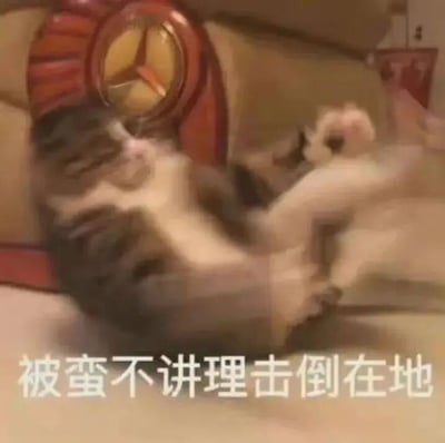 两只猫咪在米色沙发上激烈打斗，背景中可见一个红色的奔驰标志装饰物。下方猫咪被压在身下，呈现出被击倒的姿态，图片底部配有文字“被蛮不讲理击倒在地”，幽默地形容了其中一只猫咪在打斗中处于弱势、被“不讲理”击败的搞笑场景。