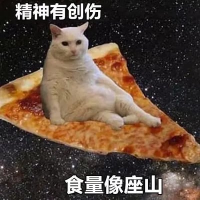这张梗图用了一只表情呆滞、体型肥胖的猫，P在一个巨大的披萨片上，漂浮在宇宙背景中。图上配有大字“精神有创伤 食量像座山”，表达出即使心情不好、状态低落时，却依然胃口超好，大吃特吃。整体视觉风格夸张搞笑，猫的神情和身材与文字形成有趣反差，常用于自嘲、吐槽压力大却暴饮暴食的场景。

没有明显双关或谐音梗，但猫坐披萨片像“宇宙飞船”，进一步增加了荒诞搞笑感。