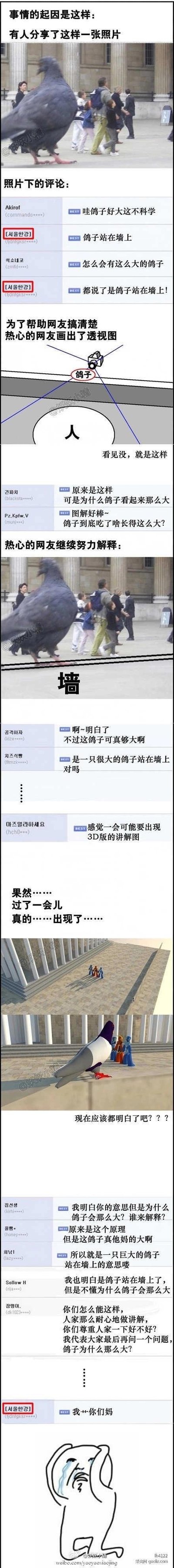 这是一组连环图文混排的梗图，通过鸽子、人类与墙之间的拟人化对话展开叙事。画面中鸽子作为对话发起者，先提及“有人夸了这面墙”，随后人类表达对墙的看法，最终墙以拟人化口吻回应“我存在了这么久，第一次被人类这么认真地观察”，内容融合幽默与哲学思考，展现对日常事物的另类观察视角。