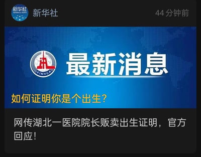 该图片为伪造的新华社新闻截图，顶部显示新华社标识及"44分钟前"发布时间，主体部分以蓝色世界地图为背景，突出显示"最新消息"标题，下方包含不当提问及关于"湖北医院院长贩卖出生证明"的虚假信息。图片存在明显恶意，通过仿冒权威媒体散布谣言。
