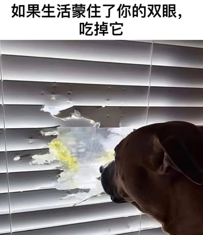 图片上方有文字“如果生活蒙住了你的双眼，吃掉它”，下方是一只狗正专注地透过百叶窗上的破洞向外看的场景。这张图通过幽默的方式表达了面对生活困境时要积极突破的态度，将“蒙住双眼”的抽象概念与狗撕破百叶窗的具体行为相结合，形成了一种励志又搞笑的效果。