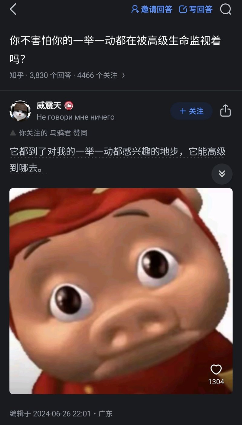 猪猪侠