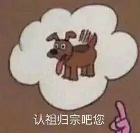 图片中央是一个白色的思考泡泡，泡泡内有一只棕色卡通狗，狗吐着舌头，表情看起来有些惊讶。泡泡下方有一行黑色文字“认祖归宗吧您”，文字右侧有一个粉色的指向手势图标，正指向思考泡泡。整体画面风格简洁，带有幽默调侃的意味，可能用于朋友间的玩笑或网络调侃场景。