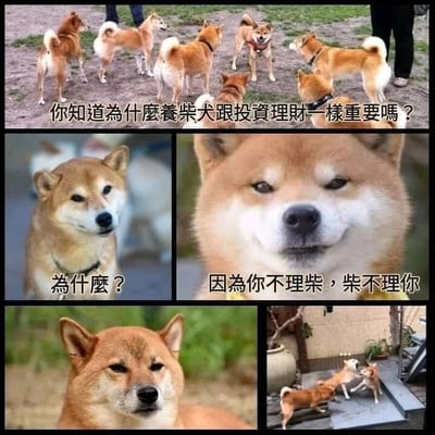暂无描述