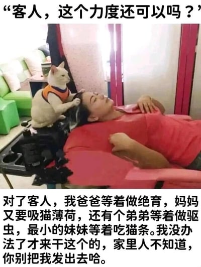 这是一张充满趣味的拟人化梗图，画面主体是一只穿着橙色小背心的猫咪，它站在按摩椅的一侧，将爪子放在躺卧的女士头上，模仿按摩师为客人按摩的动作。图的上方配有猫咪的台词“客人，这个力度还可以吗？”，下方则是猫咪的一段心酸自述：讲述自己因为家中的家人（猫爸要做绝育、猫妈要吸猫薄荷、弟弟要驱虫、妹妹要吃猫条）的开销压力，不得不偷偷出来“打工”做按摩，请求客人不要将这件事散播出去。这张图将猫咪拟人化，把当代打工人为生计奔波、默默承担压力的处境投射在猫咪身上，用幽默搞笑的方式引发网友的共鸣，调侃了现实生活中的生存压力。