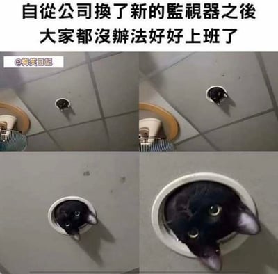 这是一张四格拼接图，展示了一只黑猫从天花板通风口探出头的有趣场景。图片上方配有文字："自从公司换了新的监视器之后 大家都没办法好好上班了"，通过将猫的头部从通风口探出的样子幽默地比作公司新安装的监控器，暗示这种可爱的"监控"会让员工分心而无法专心工作。