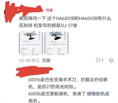 这是一张社交媒体评论区截图，图中楼主提问两款标注均为SU-27（苏27）的飞机模型，型号分别为HA6001B和HA6003B，询问二者的区别，截图中附上了两款模型的商品展示图；下方有网友回复解答，说明了两个型号分别对应的不同苏27相关历史/展示事件，图中两位用户的头像都被红色涂抹遮挡。