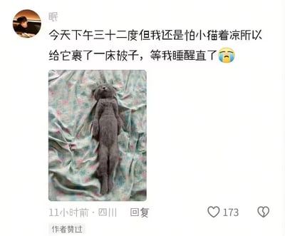 32摄氏度的大热天，用户担心小猫着凉，特意给它裹了被子，结果睡醒后发现小猫仰躺在被子上，四肢完全伸直，呈大字型放松睡姿。配文用“直了”制造出猫咪好像出了事的错觉，实际是猫咪舒服到彻底放松，用这种反差感制造搞笑效果，让人哭笑不得。
注：这里的“直了”是夸张的玩梗，并非猫咪真的出现意外，只是它的放松睡姿看起来像“直挺挺”的。