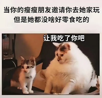 图片上方配有文字“当你的瘦瘦朋友邀请你去她家玩但是她都没啥好零食吃的”，下方是两只猫的照片：左侧是一只体型瘦小的猫，正警惕地看向右侧；右侧是一只体型肥胖的猫，眼神渴望地盯着瘦猫，胖猫上方配有文字“让我吃了你吧”。整体通过胖猫想吃瘦猫的夸张画面，幽默调侃了朋友家零食不足时的无奈又搞笑的心情，用猫咪形象生动演绎了这种日常小场景。