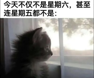 图片上半部分为黑色文字“今天不仅不是星期六，甚至连星期五都不是：”，下半部分是一只毛茸茸的小猫侧身坐在窗边，耳朵竖起，眼神望向窗外，表情透露出明显的失望与无奈，仿佛在期待周末的到来却发现仍是工作日。整体通过文字与猫咪的神情结合，生动表达了人们对工作日的吐槽和对周末的渴望。