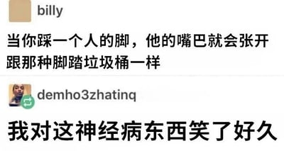 社交媒体聊天记录截图，展示了用户billy和demho3zhatinq的对话。billy发布了一个搞笑比喻：'当你踩一个人的脚，他的嘴巴就会张开跟那种脚踏垃圾桶一样'，将人被踩脚后的反应幽默地比作脚踏垃圾桶开盖的动作；demho3zhatinq则回应'我对这神经病东西笑了好久'，表达了对这个荒诞比喻的喜爱。整体氛围轻松搞笑，充满日常幽默感。