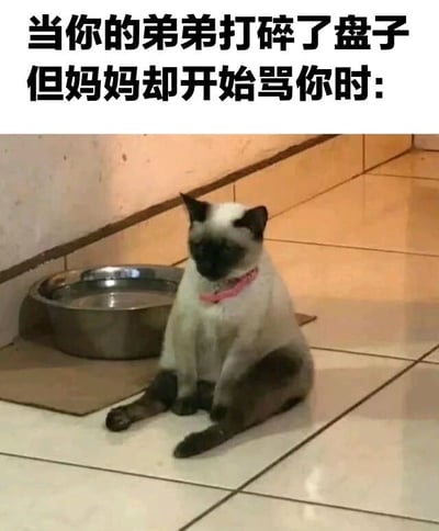 图片上方有文字'当你的弟弟打碎了盘子但妈妈却开始骂你时:'，下方是一只戴着粉色项圈的暹罗猫，平静地坐在瓷砖地面上，旁边放着一个金属碗。整体通过猫咪淡定的表情，幽默地表现出在家庭中被冤枉时的无奈与委屈情绪。