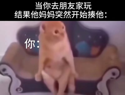 图片上方配有文字“当你去朋友家玩 结果他妈妈突然开始揍他：”，下方是一只站立在沙发上的浅棕色狗狗，狗狗身体直立，前爪微微抬起，头部上扬，表情看起来有些惊讶和不知所措，旁边标注“你：”。整体通过狗狗的尴尬姿势和场景文字，幽默地表现了去朋友家玩时突然遇到朋友被家长教训的尴尬处境。