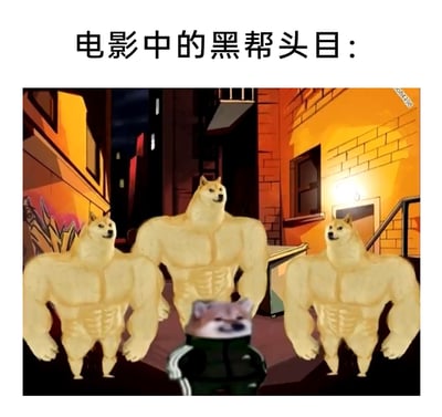 暂无描述