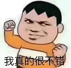 图片中是《哆啦A梦》中的角色胖虎，他有着黑色短发，身穿橙白相间的上衣，双拳紧握并举起，脸上带着自信的表情。图片下方配有文字“我真的很不错”，整体营造出一种幽默又充满自信的氛围，常被用作表达自信或进行轻松调侃的表情包。