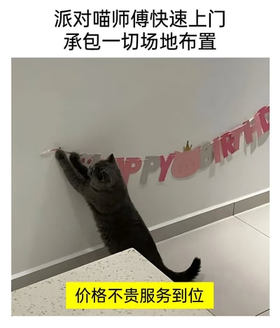 图片展示了一只灰色猫咪后腿站立，前爪正在触碰墙上的'HAPPY BIRTHDAY'生日横幅。图片上方配有文字'派对喵师傅快速上门 承包一切场地布置'，下方有黄色背景文字'价格不贵服务到位'。这张图片通过拟人化的方式，幽默地将猫咪描绘成专业的派对场地布置师傅，实际上猫咪可能只是在玩耍或试图拉扯横幅。