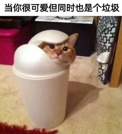 一只橘猫从白色垃圾桶中探出头来，眼神无辜地看着镜头，形成一种反差萌。图片上方配有文字“当你很可爱但同时也是个垃圾”，通过猫咪可爱的外表与垃圾桶的“垃圾”属性形成幽默对比，表达一种自嘲的趣味。