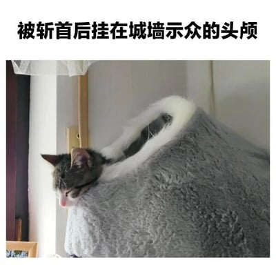 图片上方配有文字'被斩首后挂在城墙示众的头颅'，下方是一只猫咪从灰色毛绒猫窝中探出头的照片。通过夸张的文字描述与猫咪可爱的姿势形成幽默对比，营造出搞笑效果。