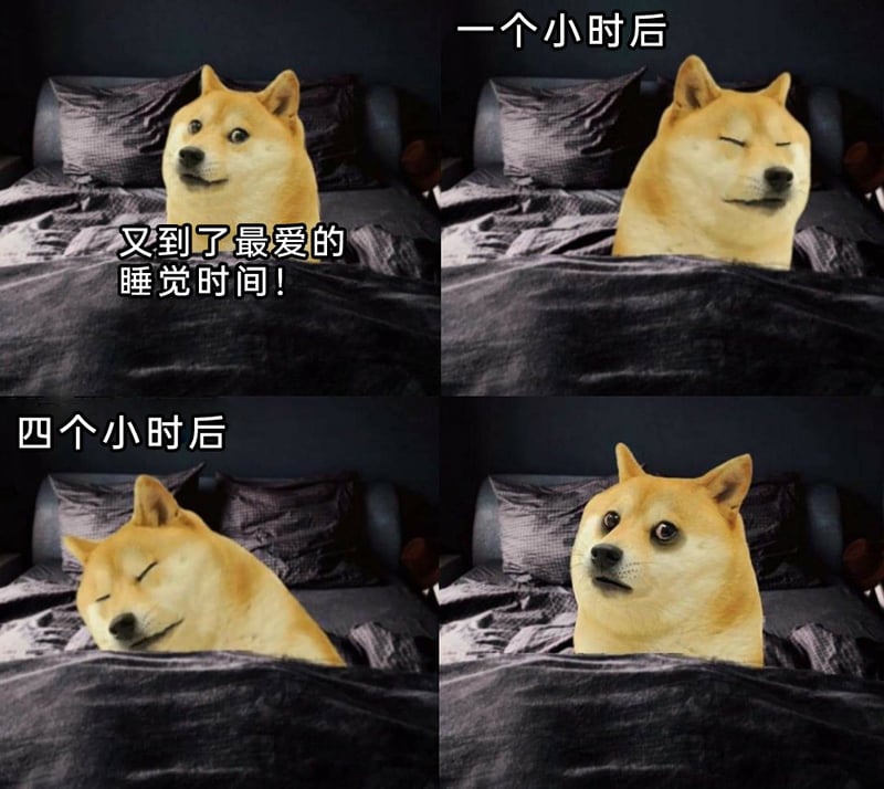 Doge柴犬