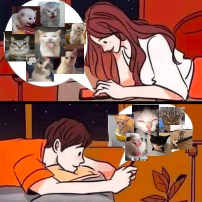这是一张经过P图改编的上下分栏静态漫画图，上半部分呈现长发女生趴在床上玩手机的场景，她的对话气泡中填充了8张神态各异的可爱猫咪表情包，涵盖吐舌、惊讶、卖萌等多种状态的小猫；下半部分是男生侧躺在床上玩手机，他的对话气泡里是7张风格不同的猫咪图，包含犯困、搞怪、委屈等神态的小猫，整体画面传递出情侣之间通过分享猫咪表情包进行趣味互动、展现吸猫爱好的温馨日常。