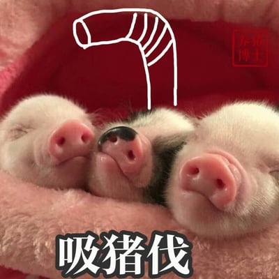 图片展示了三只熟睡的小猪仔依偎在粉色毯子上，它们闭着眼睛，粉嫩的鼻子格外可爱。上方有一个手绘的捏取手势，底部配有文字'吸猪伐'，表达了想要亲近、抚摸小猪的可爱心情。右上角有'养猪博士'的红色印章。