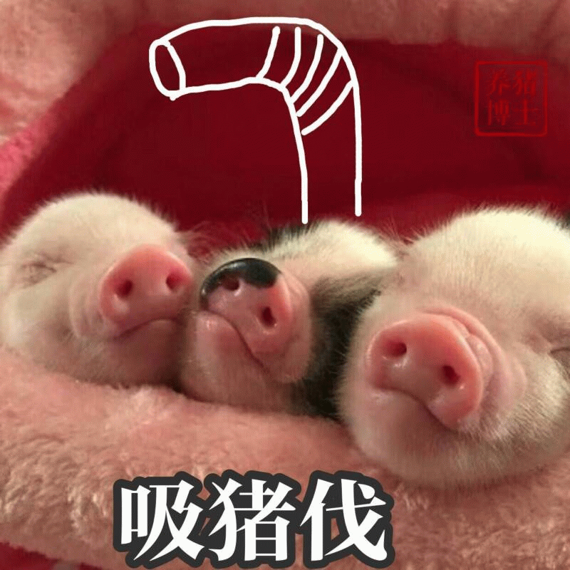 三只熟睡的小猪仔 吸猪伐