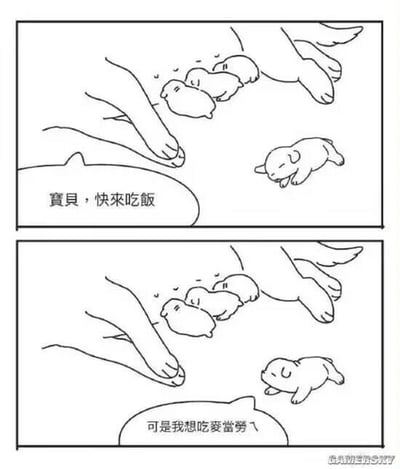 这是一幅上下两格的连环线稿卡通漫画，采用带对白气泡的形式呈现日常趣味场景：
上格画面中，一只代表饲养者的手正在招呼几只趴在类似翅膀状物体上的小猪，同时还有一只小猪单独趴在旁边，配文为「寶貝，快來吃飯」；
下格画面场景基本不变，那只单独的小猪给出回应：「可是我想吃麥當勞ㄟ」。
漫画将小猪拟人化，模仿小孩子挑食、非要吃快餐的行为，用可爱的动物形象制造反差萌，引发观众对日常挑食场景的共鸣，充满搞笑趣味。