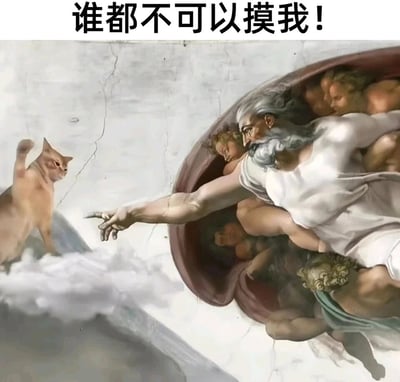 这是一幅对经典名画进行二次创作的搞笑P图，底图采用米开朗基罗的《创造亚当》，将原本亚当的位置替换为一只表情抗拒、抬起爪子的猫咪，上帝则保留了原作中伸手的经典动作，图片顶部配有文字“谁都不可以摸我！”，通过名画的庄重感和猫咪傲娇抗拒的反差，生动地表现出猫咪不愿被抚摸的状态，营造出诙谐幽默的效果。