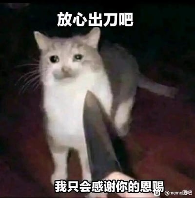 这是一张文字加注类的静态梗图，画面主体是一只浅色的真实猫咪，它的眼神看起来委屈又可怜，身体被一把刀抵住下方，呈现出弱势的处境。图中搭配上下两行文字“放心出刀吧”“我只会感谢你的恩赐”，通过猫咪的弱势形象与顺从感恩的文字形成强烈反差，制造出荒诞又幽默的效果，用来表达人们在面对无法抗拒的压力、伤害时，只能被动接受甚至以“感恩”心态自我消解的自嘲情绪，是一种对无奈处境的戏谑表达。