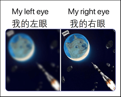 这是一张左右对比图，左侧标注“我的左眼（My left eye）”，展示一个模糊的Doge狗头形象附着在类似月球的天体上，背景中有一枚看似正在坠落或模糊不清的火箭；右侧标注“我的右眼（My right eye）”，则呈现清晰的Doge狗头形象，同样在月球背景中，狗头手持一面写有“HODL”字样的旗帜，背景中的火箭正向上飞升。整体通过左右眼的清晰度差异和火箭的升降状态，幽默地形成视觉对比，可能暗喻对某事物（结合“HODL”这一加密货币术语，推测与加密货币持有心态相关）的不同视角或状态。